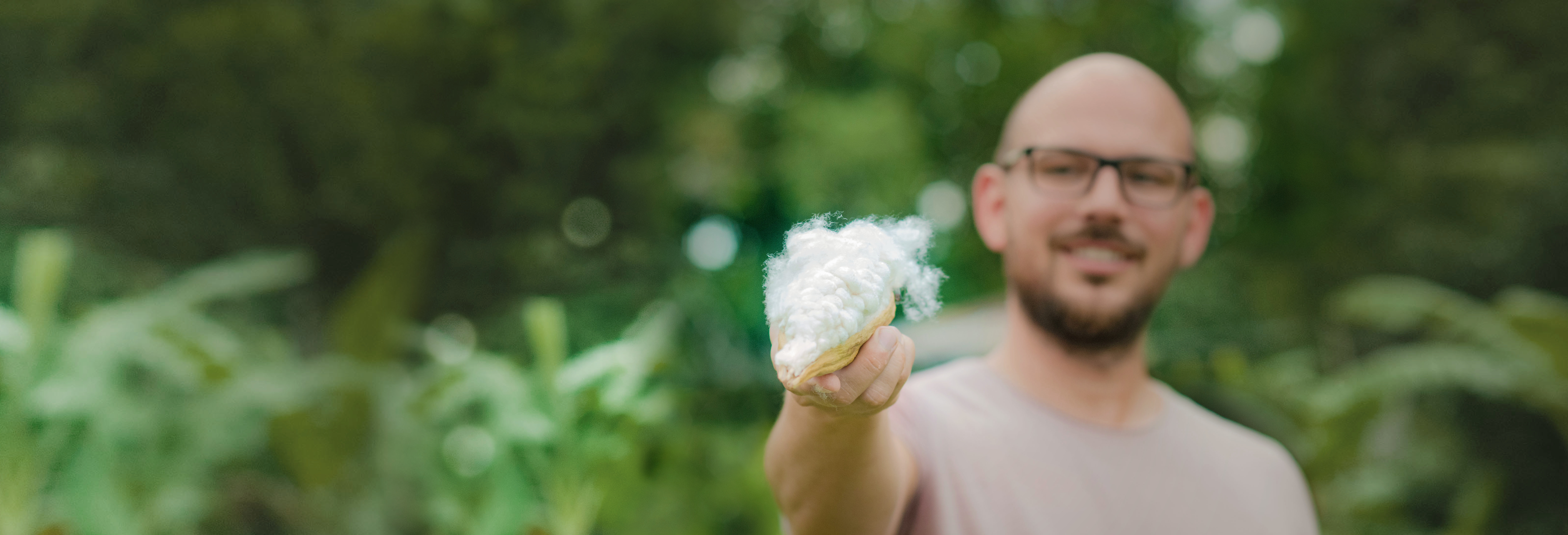 Image: Kapokschote+Matthias