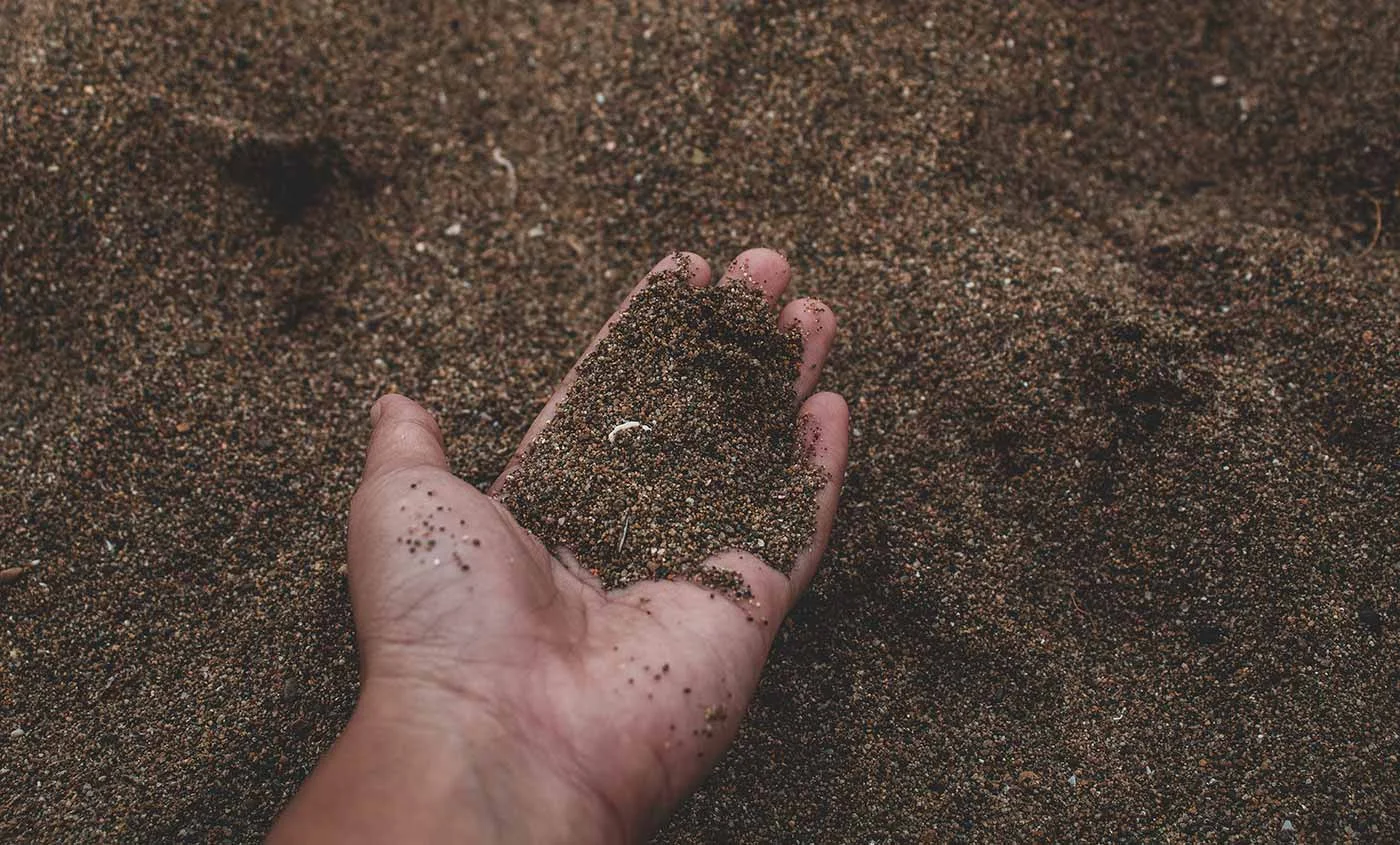 Vivere in Modo Sostenibile: Saggezza dall'Estremo Oriente per un'Azione Ecologicamente Consapevole Vivere in Modo Sostenibile: Saggezza dall'Estremo Oriente per un'Azione Ecologicamente Consapevole