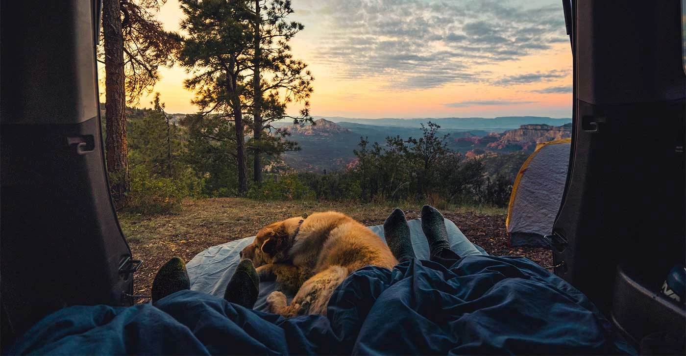 Campeggio nello Stile Zen: La Magia della Natura e la Pace Interiore