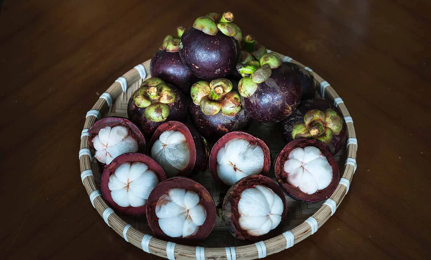 Scopri il Potere degli Superfoods Thailandesi: Salute per Corpo e Mente Scopri il Potere degli Superfoods Thailandesi: Salute per Corpo e Mente